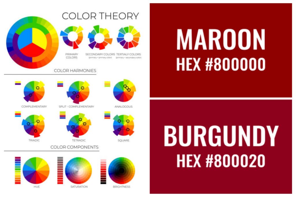 چرخه رنگ ایتن و کد رنگ‌های ترندی مانند رنگ زرشکی ترند سال